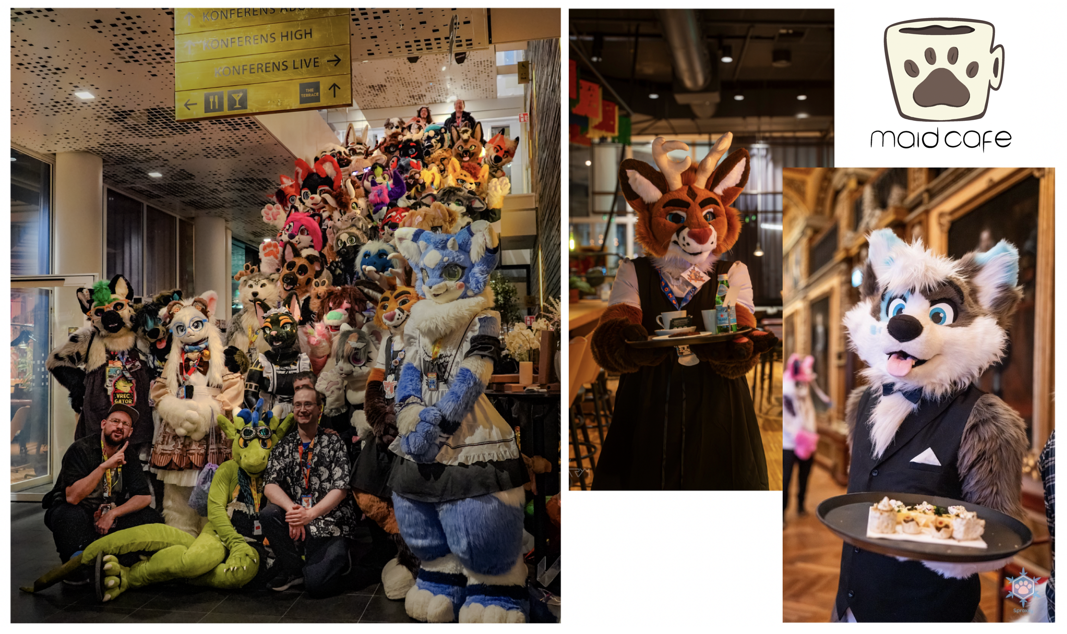 Maid Café Photo
