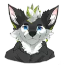 Codec's profile