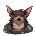 Toroid's profile
