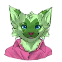 Shoki's profile
